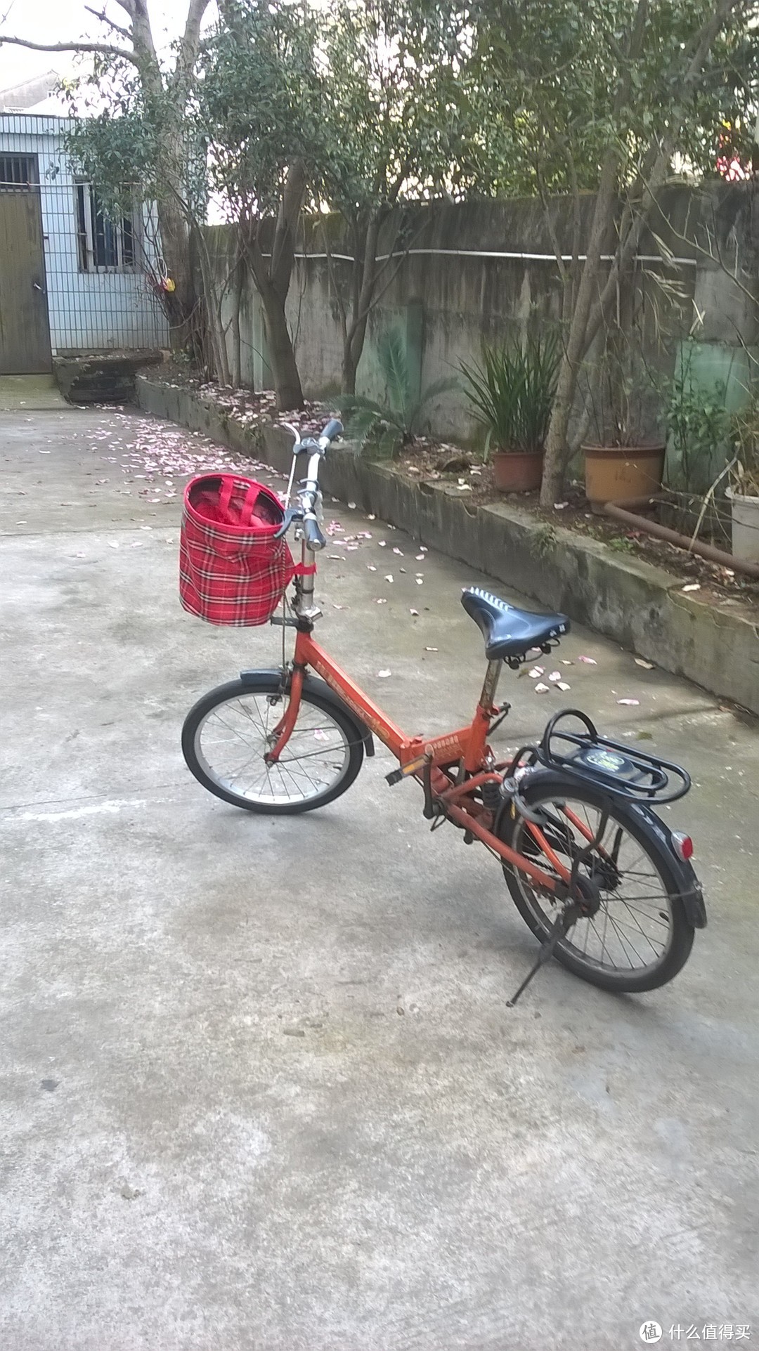 给孩子的生日礼物TOTEM 图腾1100D